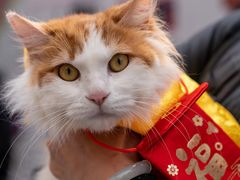 -太平洋数码广场