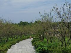 -上海海湾国家森林公园