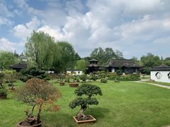 -盆景园(扬州大运河文化旅游度假区)