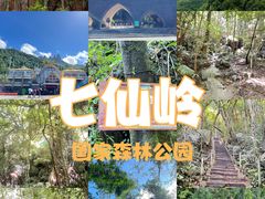 -七仙岭温泉国家森林公园