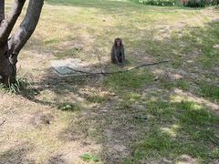 -苏州上方山国家森林公园
