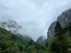 -鹿院坪生态旅游景区
