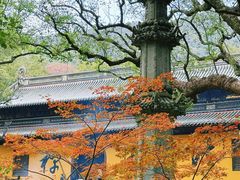 -普陀山风景名胜区-法雨禅寺
