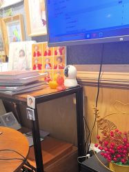 -倾城宝贝儿童摄影(浦东金谊店)