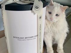 -Biteology Artisan Cakes(红庄·国际文化保税创新园店)
