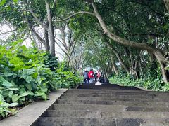 -海口火山口国家地质公园