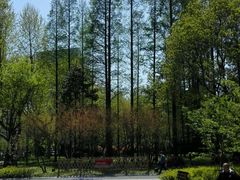 景点-徐家汇源景区-衡山公园