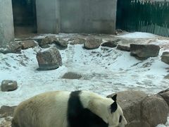 -沈阳森林动物园