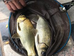 -酷鱼垂钓CLUB(朝阳区博大路店 )