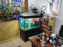 -鹰翔保龄球(复兴门店)