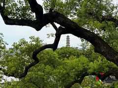 -江心屿景区