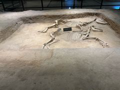 -洛阳周王城天子驾六博物馆