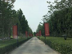 -万柳高尔夫俱乐部