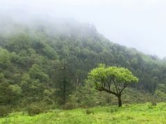 -硗碛藏寨·神木垒景区