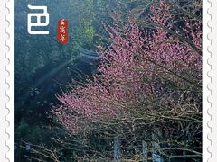 -韬光茶庵