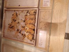 -泸溪河桃酥(欧尚店)