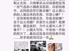 盛京一禾-盛京一禾