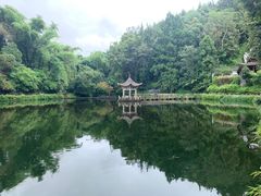 -和顺古镇