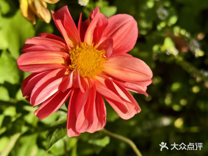 长春公园(普阳街道)图片