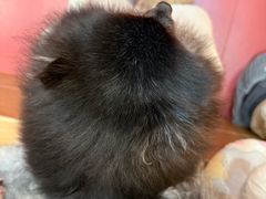 -和它·交个朋友·狗咖猫咖(爱琴海店)