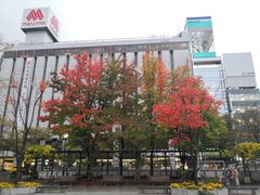 -札幌电视塔