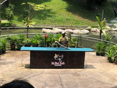 -吉隆坡雀鸟公园