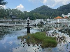-红山村