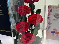 -成都世纪城新国际会展中心