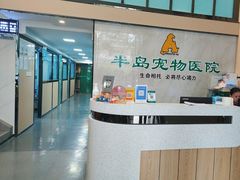 -半岛宠物医院24小时(科华中路店)