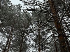 -北极村旅游风景区