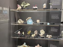 -墨尔本博物馆(Melbourne Museum)