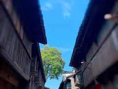 -乌镇西栅景区