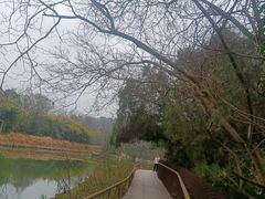 -花溪公园