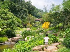 -云溪植物园