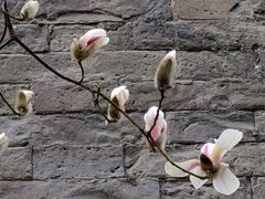 -东华门大街小区