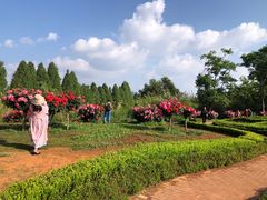 -庾园