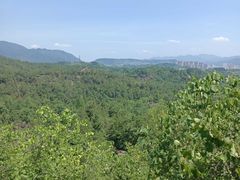 -天台山赤城山景区