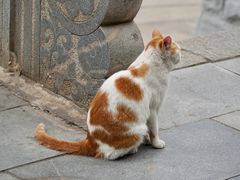 -宝通禅寺