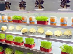 -番食园鲜食火锅(高新店)