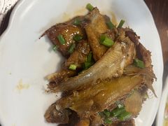 -大树下饭店(春晓镇慈岙社区卫生服务站南)