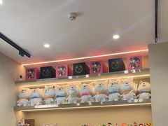 -MONANA蛋糕研究所