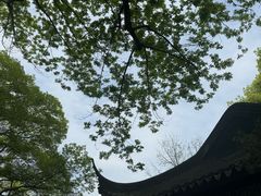 -拙政园