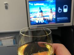 -德国汉莎航空公司