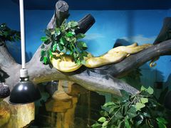 -石家庄市动物园