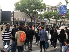 -嘉定紫藤园