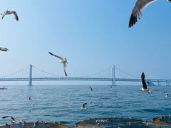 -星海广场