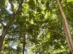 -婆婆家·湛江特色美食(福田振华路店)