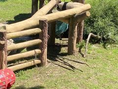 -沈阳森林动物园