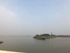 -大湾区中央湿地公园