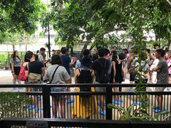 -TrueLove @ Neverland (Husky Cafe)